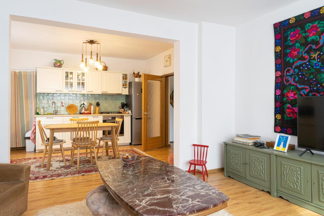Generous Family Home Vişeu de Sus Εξωτερικό φωτογραφία