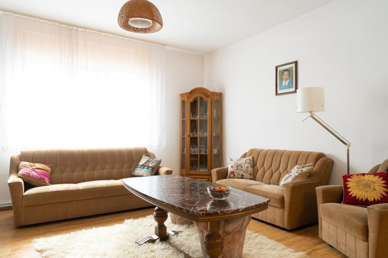 Generous Family Home Vişeu de Sus Εξωτερικό φωτογραφία