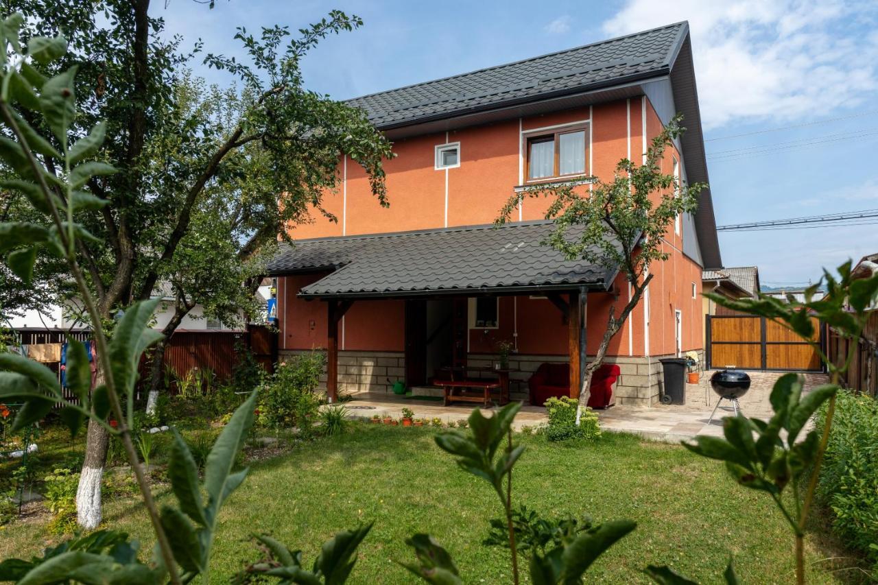 Generous Family Home Vişeu de Sus Εξωτερικό φωτογραφία