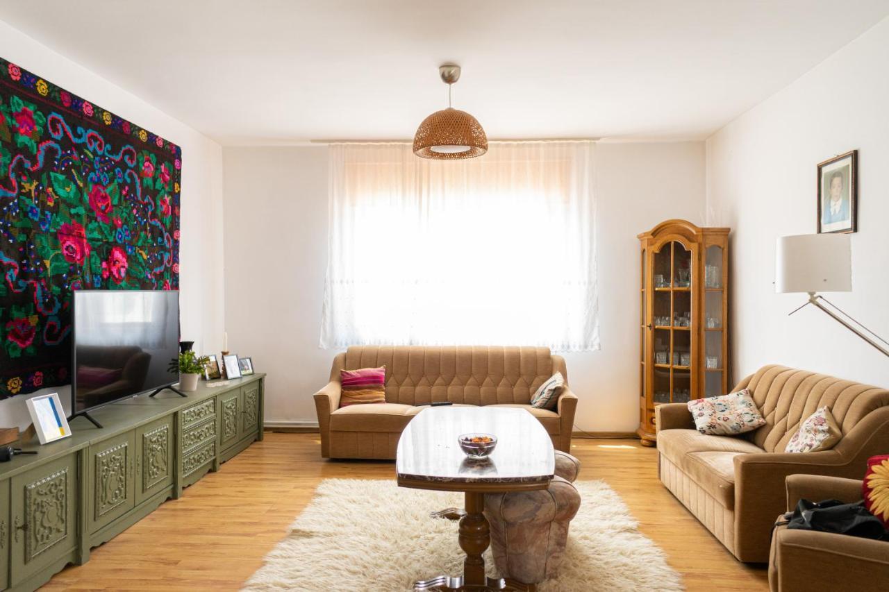 Generous Family Home Vişeu de Sus Εξωτερικό φωτογραφία