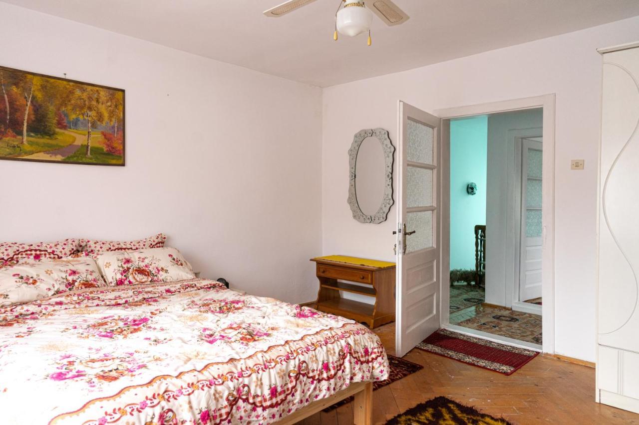 Generous Family Home Vişeu de Sus Εξωτερικό φωτογραφία