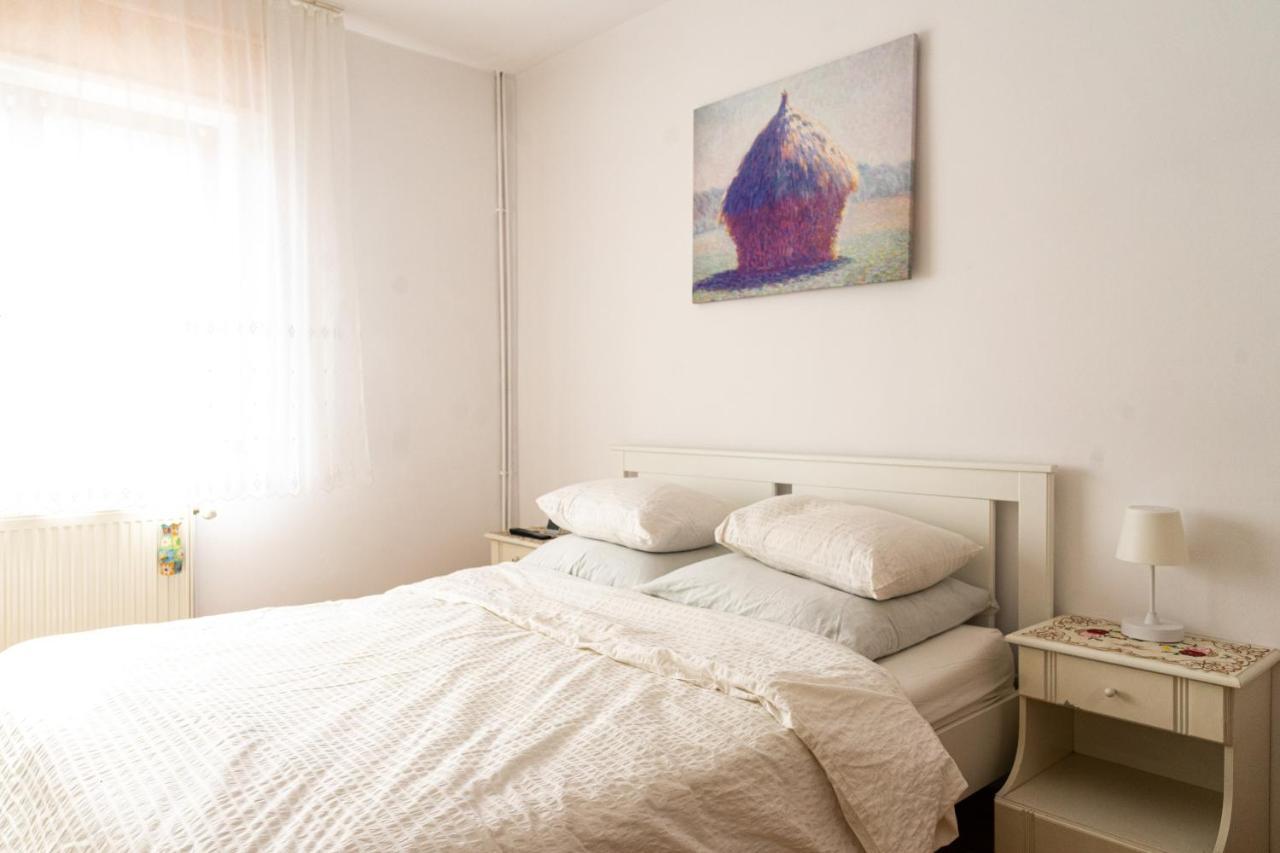 Generous Family Home Vişeu de Sus Εξωτερικό φωτογραφία