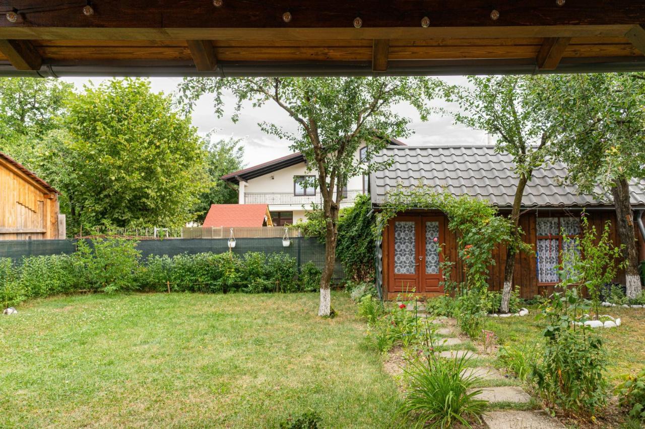 Generous Family Home Vişeu de Sus Εξωτερικό φωτογραφία