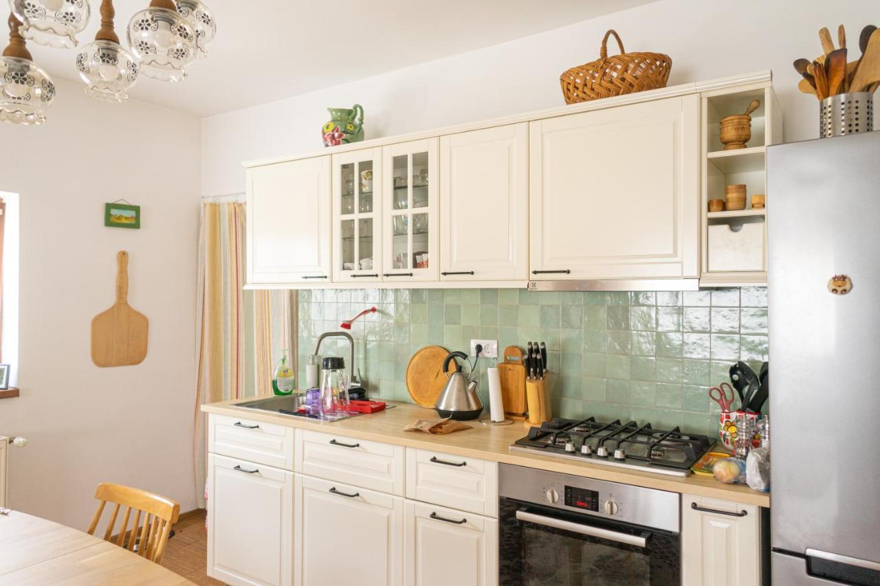 Generous Family Home Vişeu de Sus Εξωτερικό φωτογραφία